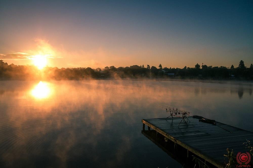 Solunar pescuit 2017. In ce zile ale anului se hranesc crapii?